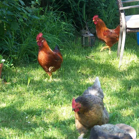 Brunnenweiher Сasa de vacaciones