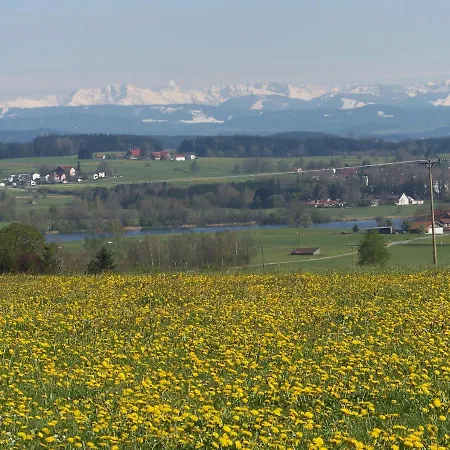Brunnenweiher