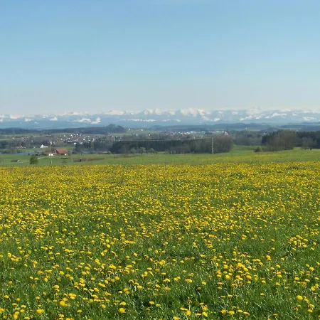 Brunnenweiher Kißlegg