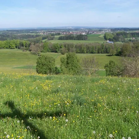 Brunnenweiher Kißlegg