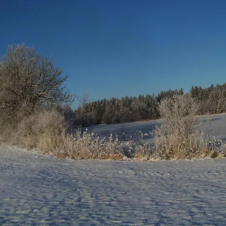 Brunnenweiher * Kißlegg